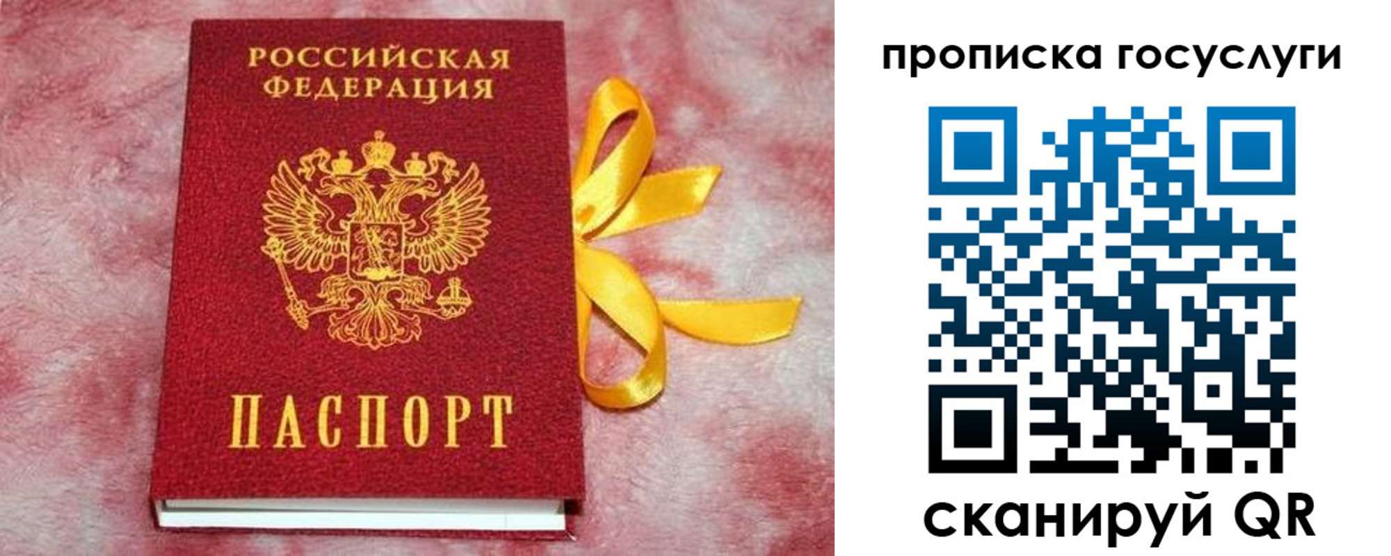 прописка законно в Струнино